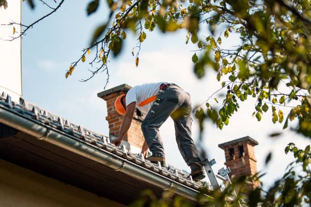 Best New Roof Installation  in Pittsfield, IL