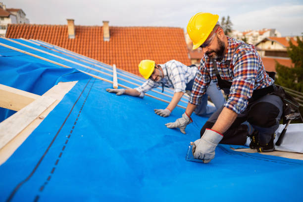 Professional Roofing Contractor in Pittsfield, IL